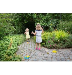 BS Toys, Ptasi Wyścig