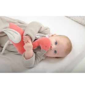 Pozytywka, Flaming, Kikadu